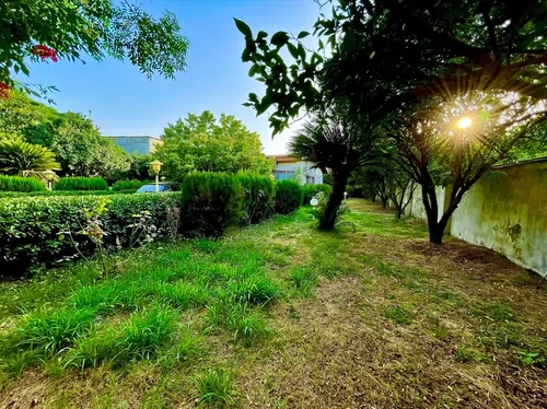 تصویر 20 - ویلا باغ شکری  در  سرخ رود