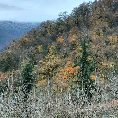 تصویر 23 - ویلا نوئل توسکستان با دیزاین چوب در  گرگان