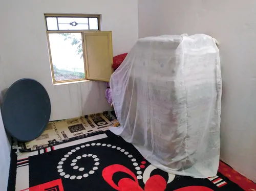 تصویر 4 - روستایی و عشایری منظره وطبیعت کوهستانی و جنگلی با محیط باز در پونل