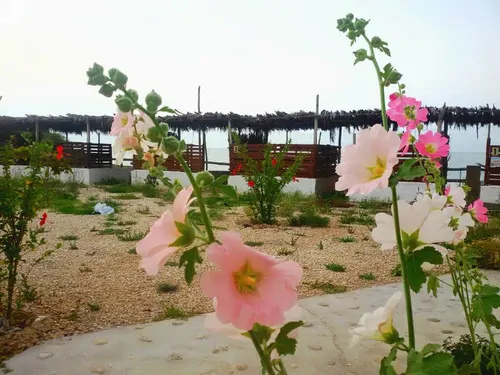تصویر 4 - اقامتگاه بوم‌گردی میداف (اتاق 5) در پارسیان
