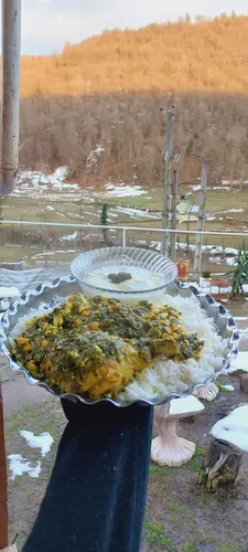 تصویر 38 - ویلا جنگلی گیل دخت در  رودبار