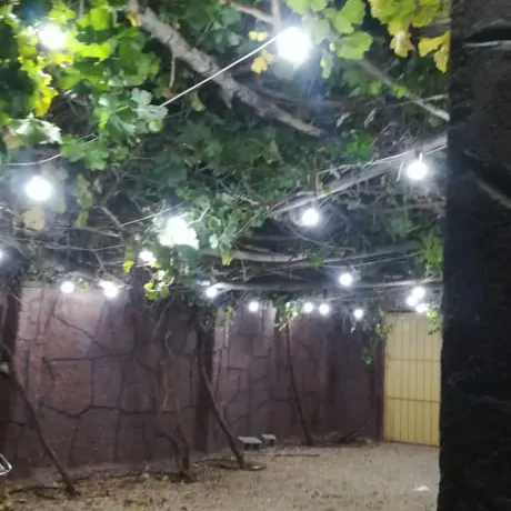 تصویر 2 - اقامتگاه بوم‌گردی باغ تفریحی دهقان در شیراز