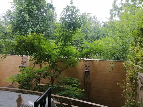تصویر 28 - ویلا آوا در  بابل