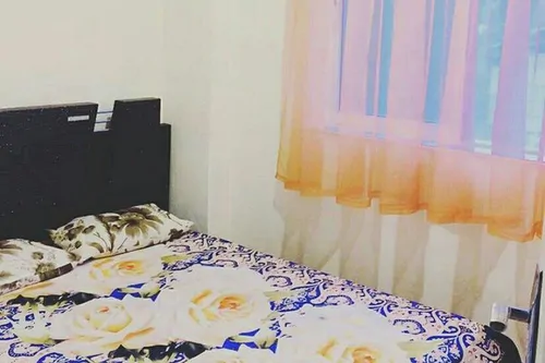 تصویر 2 - خانه پردیس در شیرود