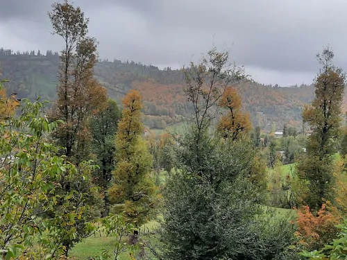 تصویر 29 - ویلا جنگلی آپادانا روستای استخرگاه در  رستم آباد