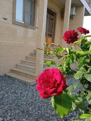 تصویر 4 - ویلا ویلای ساحلی محمد در تالش