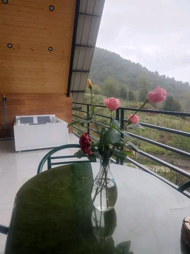 تصویر 24 - کلبه کاریزما با جکوزی در زیراب