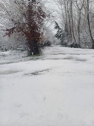 تصویر 21 - ویلا ماه سو در  سوادکوه