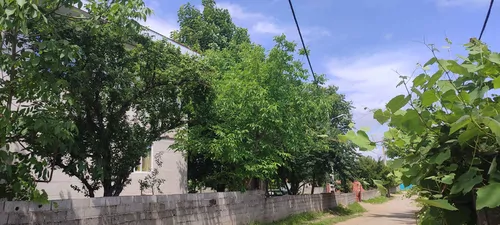 تصویر 13 - ویلا باغ زندگی در  اسالم