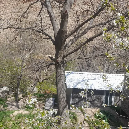 تصویر 2 - سوییت اخلمد بهشت پنهان در چناران