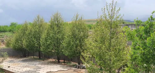 تصویر 14 - کلبه سوئیسی برکه  در  شیراز