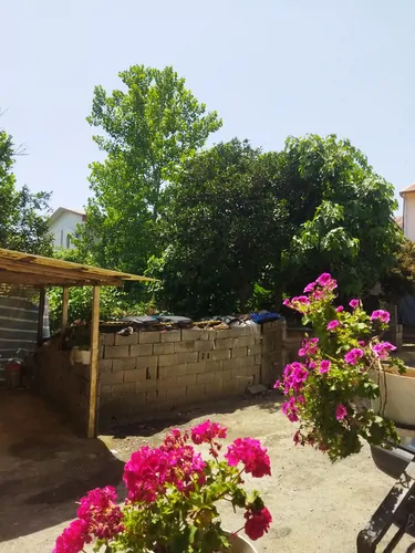 تصویر 9 - آپارتمان ایثار در  لنگرود