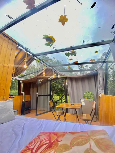 تصویر 9 - کلبه سقف شیشه ای پاناروما در سوادکوه