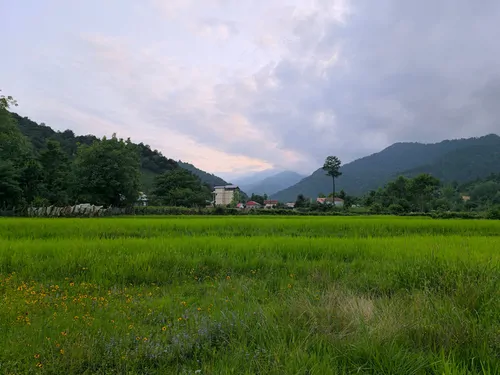 تصویر 5 - ویلا ویلای جنگلی  در  فومن