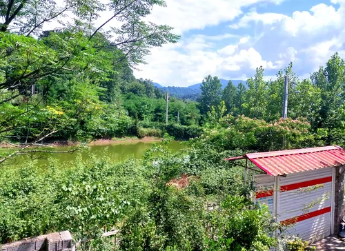 تصویر 13 - ویلا برکه در لاهیجان