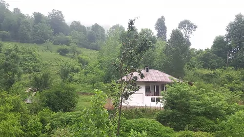 تصویر 14 - ویلا سنتی کوهپایه  در  فومن