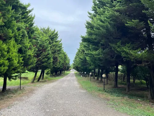 تصویر 14 - ویلا آویشار (واحد جامی) با صبحانه رایگان در اسالم