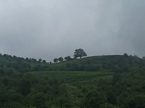 تصویر 3 - ویلا اقامتگاه کوهستانی فرهنگ در آمل