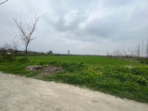 تصویر 4 - ویلا الین در  گرگان