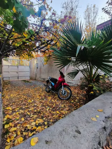 تصویر 10 - خانه باغ محمد در  باغ بهادران