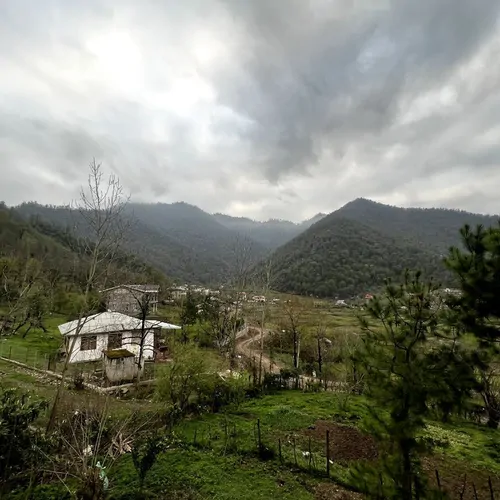 تصویر 34 - ویلا باغ جنگلی ننه باجی در  ماسال