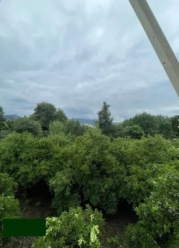 تصویر 12 - ویلا آرامش در شیرگاه