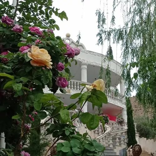 تصویر 27 - ویلا قصر سفید لوشان در  رودبار