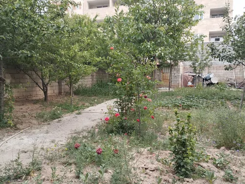 تصویر 3 - آپارتمان محیطی ارام با حیاط سرسبز در سرعین