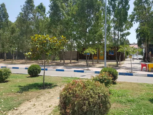 تصویر 14 - ویلا زیتون روبه به دریا (۱9) شهرام صفرپور در  بابلسر