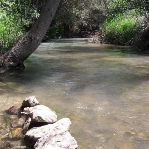 تصویر 3 - ویلا شب بهشت در فیروزکوه 