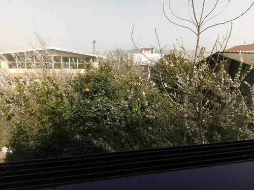 تصویر 9 - خانه مبله کژال در  شیرگاه
