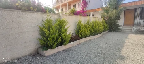 تصویر 4 - ویلا دربستی ساحل و باران در نوشهر