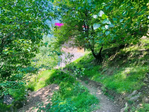 تصویر 27 - کلبه توسکا (3) در  سه هزار شهسوار 