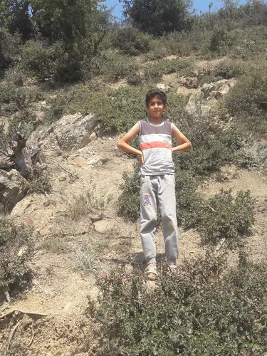 تصویر 5 - سوییت روستای ارفعده  در  سوادکوه