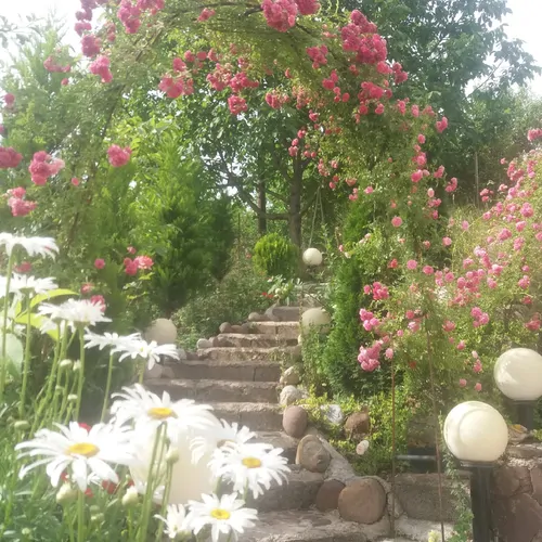 تصویر 12 - ویلا گل در  رستم آباد