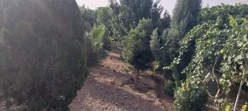 تصویر 5 - ویلا باغچه سعیدآباد استخر دار در  ورامین