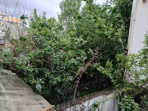 تصویر 5 - آپارتمان آپارتمان مبله طوبی۲  در  رشت