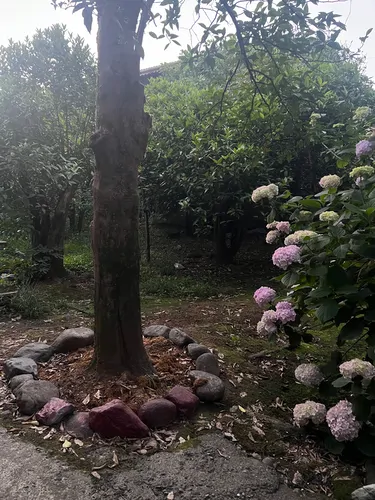 تصویر 4 - روستایی و عشایری خانه روستایی قدیمی در چابکسر