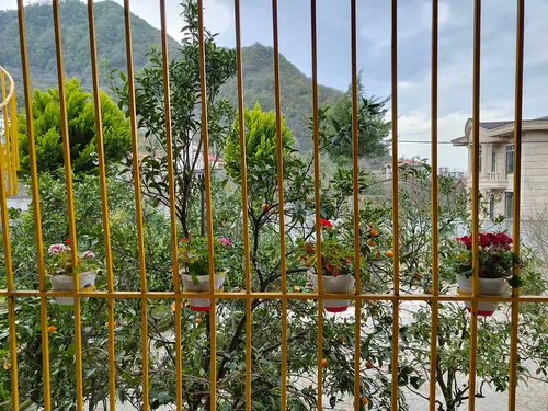 تصویر 6 - ویلا مینا در  رامسر