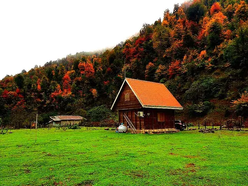 تصویر ۱ - کلبه چوبی رویایی در  ماسال