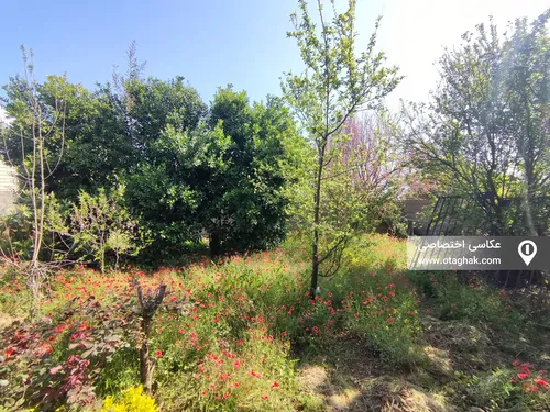 تصویر 21 - ویلا باغ مریم در  فومن