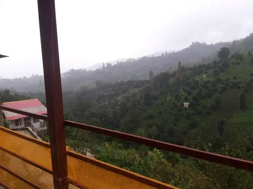 تصویر 3 - ویلا ویلای کوروش مهرزاد در کلاچای