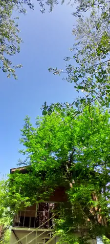 تصویر 4 - کلبه کلبه لاکچری فوق‌العاده زیبا و جنگلی در ماسال