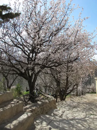 تصویر 14 - ویلا باغ زیدشت در  طالقان