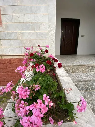 تصویر 13 - خانه ویلایی ارکیده  در  رامسر