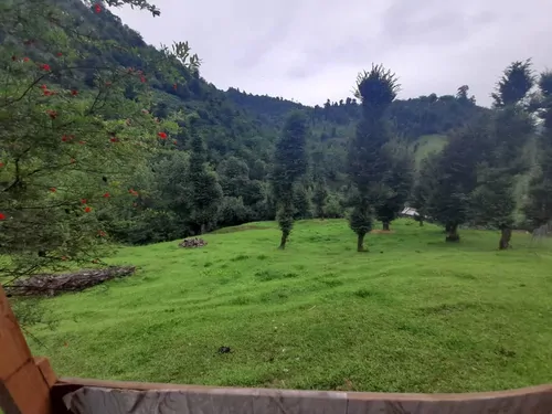 تصویر 5 - کلبه چوبی کاظمی در  ماسال