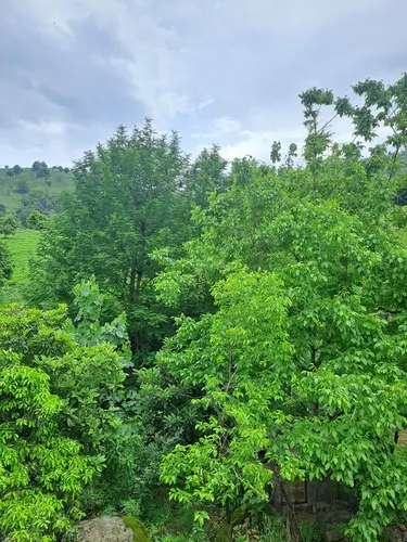 تصویر 12 - کلبه  بهشت گوشکور در  املش