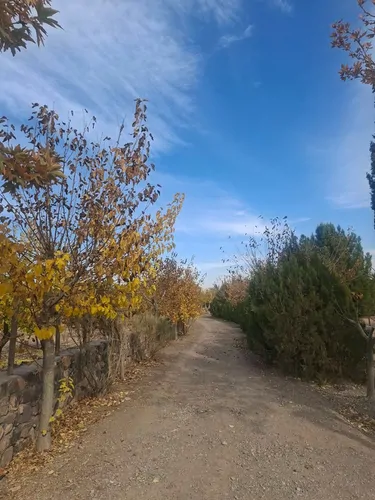 تصویر 12 - ویلا اورس (۶ نفره) در  شاهرود