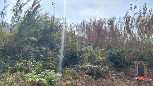 تصویر 5 - ویلا امنیت فوق العاده خیلی دنج باغ بینظیر ۱۷ در چمستان