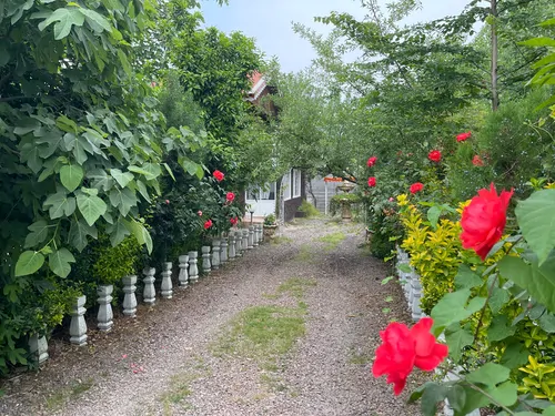 تصویر 14 - کلبه ماهور در  رشت